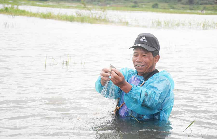 Ông Puih Hyinh (làng Ốp, phường Hoa Lư, TP. Pleiku) trầm mình giữa cánh đồng thả lưới bắt cá. Ảnh: M.N Ông Puih Hyinh (làng Ốp, phường Hoa Lư, TP. Pleiku) trầm mình giữa cánh đồng thả lưới bắt cá. Ảnh: M.N