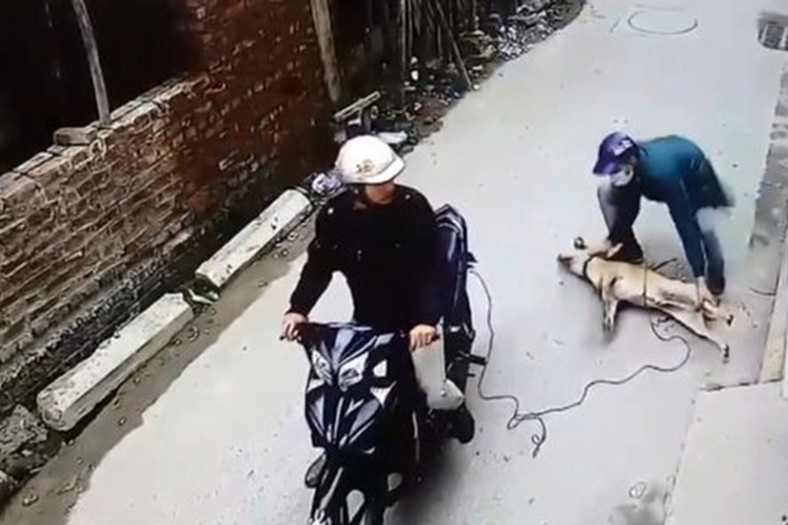 Nam thanh niên bị bắn tử vong khi đuổi theo 2 đối tượng nghi làm trộm chó. Ảnh minh họa Nam thanh niên bị bắn tử vong khi đuổi theo 2 đối tượng nghi làm trộm chó. Ảnh minh họa