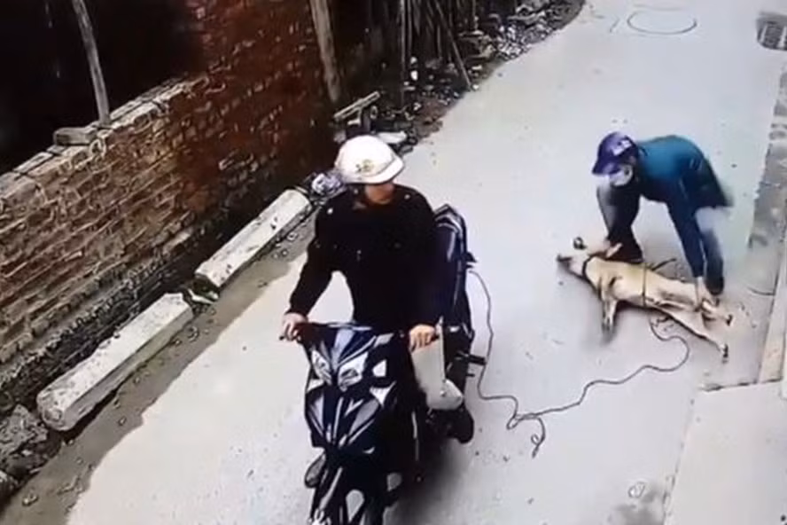 Nam thanh niên bị bắn tử vong khi đuổi theo 2 đối tượng nghi làm trộm chó. Ảnh minh họa