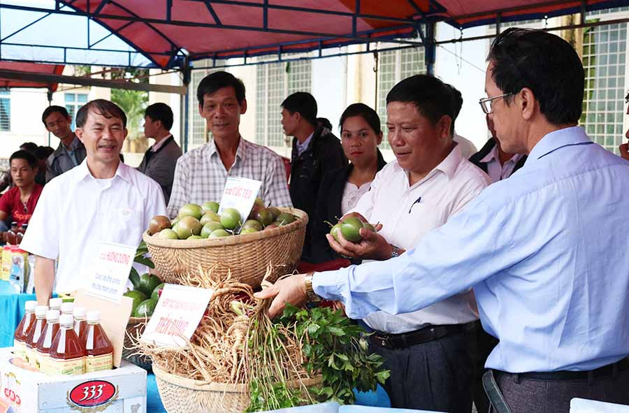  Sản phẩm của những hội viên nông dân được trưng bày tại gian hàng nhân dịp hội nghị tổng kết. Ảnh: N.S