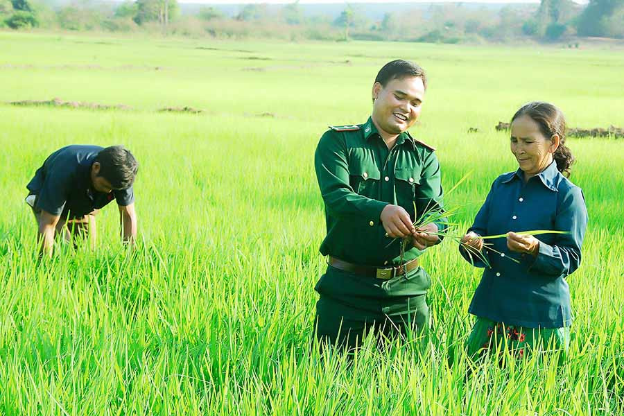  Cán bộ biên phòng hướng dẫn người dân chăm sóc lúa. Ảnh: intermet