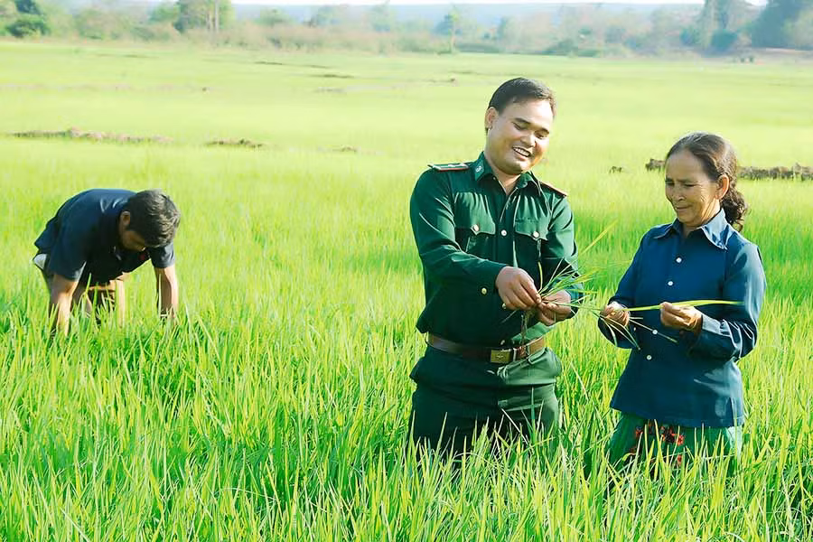  Cán bộ biên phòng hướng dẫn người dân chăm sóc lúa. Ảnh: intermet