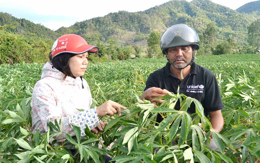  Cán bộ Hội Nông dân xã Ia Mlah hướng dẫn nông dân cách xử lý mì bị bệnh khảm lá vi rút. Ảnh: L.H