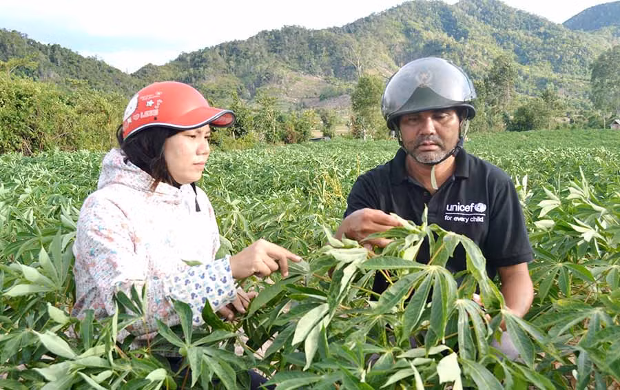  Cán bộ Hội Nông dân xã Ia Mlah hướng dẫn nông dân cách xử lý mì bị bệnh khảm lá vi rút. Ảnh: L.H