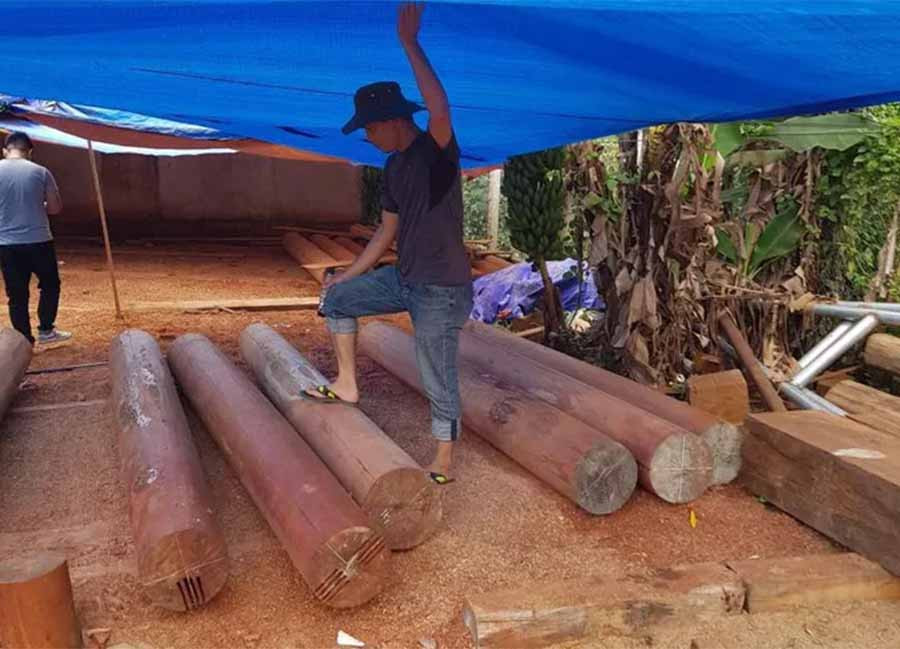 Gỗ lậu được làm thành phẩm