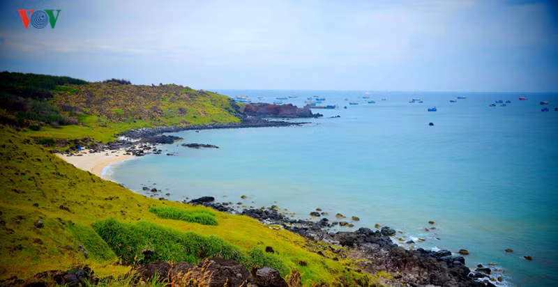  Phong cảnh từ đỉnh núi Cao Cát, khu vực cao nhất trên đảo, những vách núi đá đen xen cỏ xanh, ven bờ bãi cỏ xanh rì nhìn ra biển.