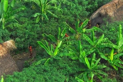 Người Sentinel bắn cung, ném lao và đá về phía máy bay của chính phủ Ấn Độ vào năm 2004. Người Sentinel bắn cung, ném lao và đá về phía máy bay của chính phủ Ấn Độ vào năm 2004.