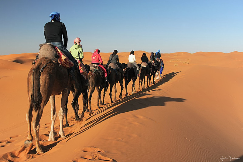 Khám phá sa mạc biển Mesaieed trên lưng những chú lạc đà