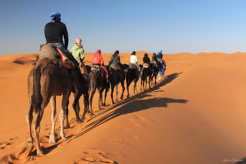 Khám phá sa mạc biển Mesaieed trên lưng những chú lạc đà