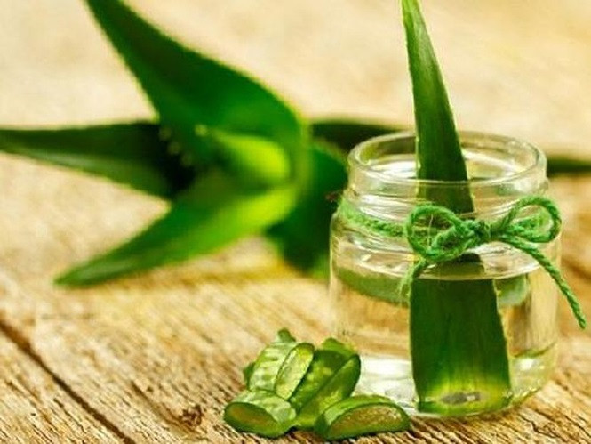 Nếu bạn có bất kì bệnh đường ruột nào như bệnh Crohn và viêm loét đại tràng thì nên tránh uống nước ép nha đam vì nhựa nha đam sẽ gây kích ứng ruột. Ảnh minh họa: Internet Nếu bạn có bất kì bệnh đường ruột nào như bệnh Crohn và viêm loét đại tràng thì nên tránh uống nước ép nha đam vì nhựa nha đam sẽ gây kích ứng ruột. Ảnh minh họa: Internet