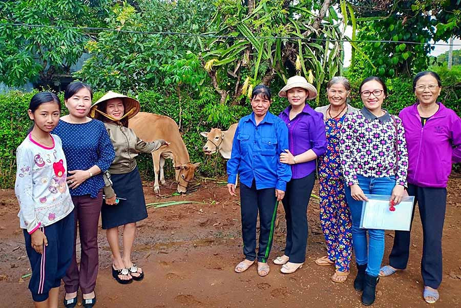  Hội LHPN TP. Pleiku trao bò giống cho hội viên nghèo để phát triển kinh tế. Ảnh: N.B