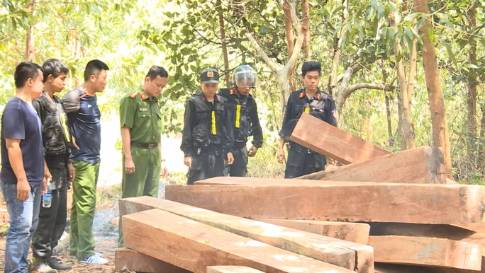  Giám đốc Công an tỉnh Đắk Lắk đã điều lực lượng khác địa bàn triệt phá đường dây gỗ lậu lớn