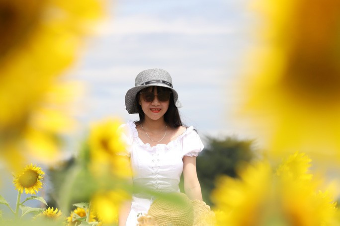 Vườn hoa này nằm sát bên dòng sông Thu Bồn, du khách muốn ghé thăm có thể đi từ Quốc lộ 1 (theo hướng bắc - nam) qua cầu Câu Lâu cũ, sau đó rẽ vào cầu Gò Nổi đi thẳng theo đường ĐT610B khoảng 7km sẽ đến.