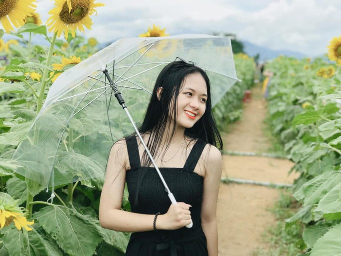 Đến với cánh đồng hướng dương lung linh ở Quảng Nam này, bạn như lạc vào vườn cổ tích giữa không gian hoa hướng dương đang đua nhau khoe sắc Ảnh: Hà Nhi