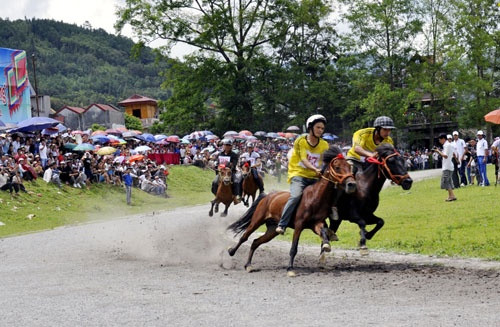Các nài ngựa đua nhau tranh tài trong giải đua ngựa truyền thống của Bắc Hà