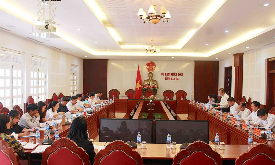 Lãnh đạo Sở Kế hoạch và Đầu tư báo cáo về tình hình hoạt động của các HTX trên địa bàn tỉnh. Ảnh: Hồng Thi