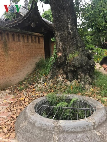  Ngay cạnh đó là chiếc giếng cổ mới được nhà chùa tìm thấy khoảng năm 1998.