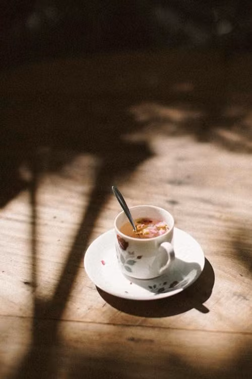  Khi tới quán, bạn có thể bắt gặp khách đang chăm chú đọc một cuốn sách hoặc nhóm bạn ngồi tỉ tê những câu chuyện; cũng có người ngồi một mình, lưng tựa dài vào ghế chỉ để tận hưởng không gian tĩnh lặng, không khói bụi... Thực đơn đồ uống của quán khá đa dạng, phổ biến là các loại trà và cà phê, giá dao động từ 25.000 đồng.