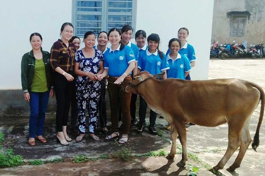  Mô hình “Bò tình thương” giúp nhiều hội viên phụ nữ thoát nghèo. Ảnh: Trần Dung