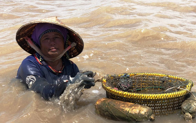 Bà Nguyễn Thị Ánh ngâm mình hơn 10 giờ mỗi ngày dưới biển để mò ốc móng tay