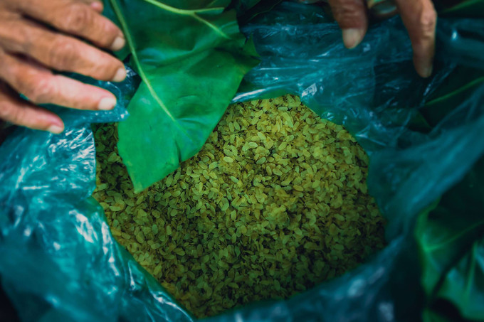 Cốm từ xưa đã là thức quà vặt không thể thiếu mỗi độ thu về. Những mẻ cốm xanh, thơm ẩn mình trong gánh hàng rong len lỏi khắp phố phường. Cốm không chỉ để ăn chơi, mà còn được chế biến thành nhiều món quà vặt như chè, xôi...