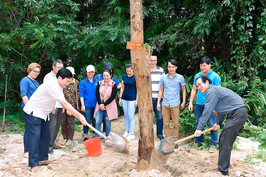  Báo Gia Lai huy động cán bộ, viên chức đóng góp mỗi người 1 ngày lương mua 3 cây giáng hương trồng tại khu di tích nhân dịp 2-9 vừa qua. Ảnh: Đ.T