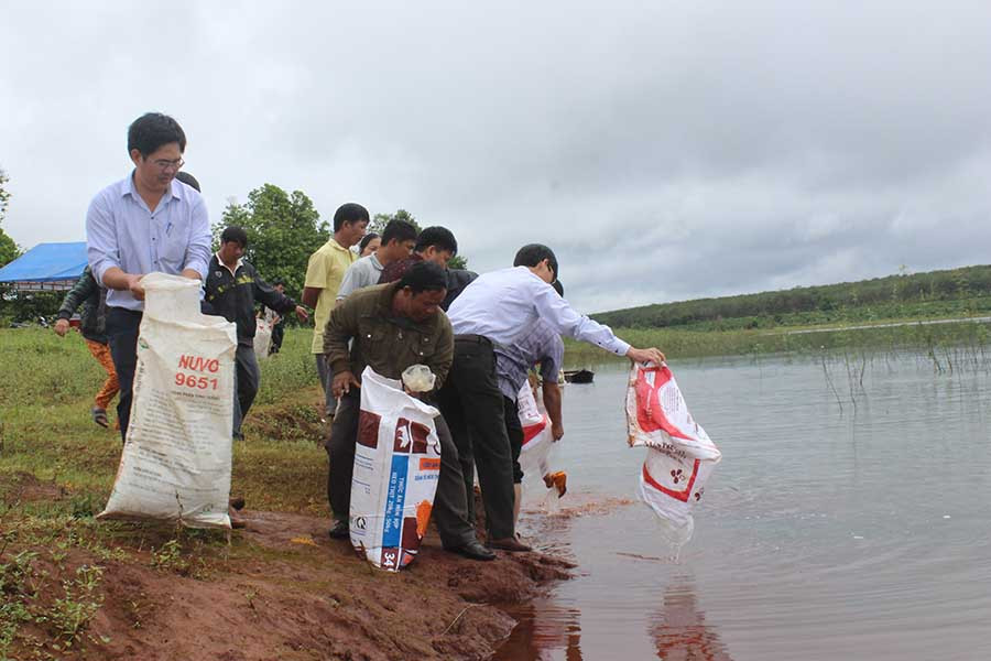 Ảnh:Nguyễn Diệp