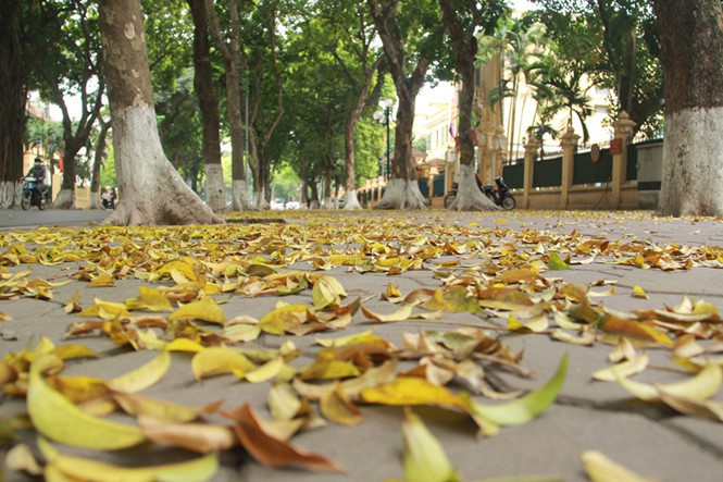  Cuộc đời hữu hạn, ai rồi cũng sẽ có lúc chia ly