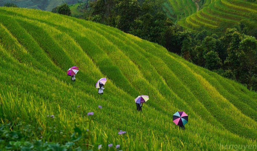 Đường đến trường. Ảnh Hà Nguyễn