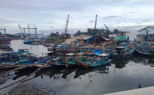  Cầu Rạch Bà, TP Vũng Tàu, nơi nhóm khách du lịch thuê ghe để đi chơi