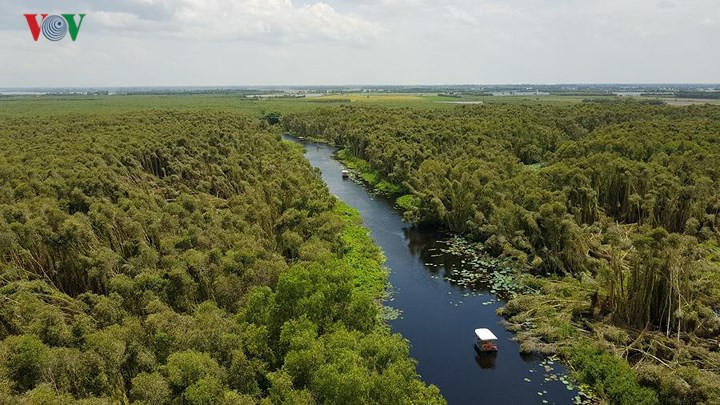 Rừng tràm bao la với những con kênh hiền hòa nhìn từ tháp canh thứ nhất cao 38 m.