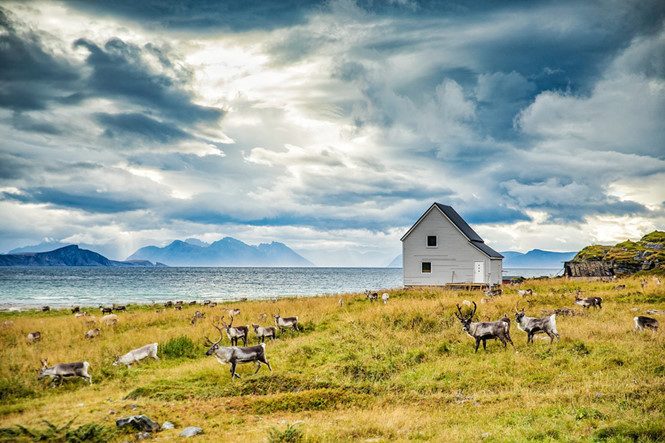 Ngôi nhà của những người chăn tuần lộc ở làng Breivik ẢNH: HOÀNG LÊ GIANG