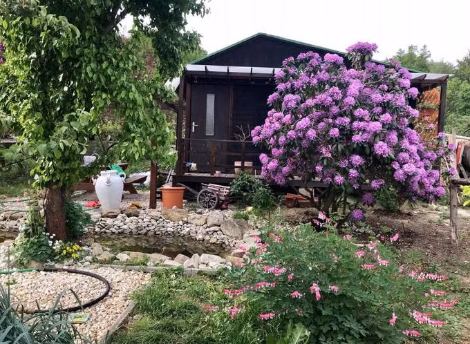 Trên mảnh đất này, ngoài một căn nhà gỗ nhỏ, chị Huyền trồng đủ các loại rau trái Việt. Ở một góc vườn chị tạo hình bản đồ Việt Nam và ngôi sao năm cánh từ những cây sen đá. Trên mảnh đất này, ngoài một căn nhà gỗ nhỏ, chị Huyền trồng đủ các loại rau trái Việt. Ở một góc vườn chị tạo hình bản đồ Việt Nam và ngôi sao năm cánh từ những cây sen đá.