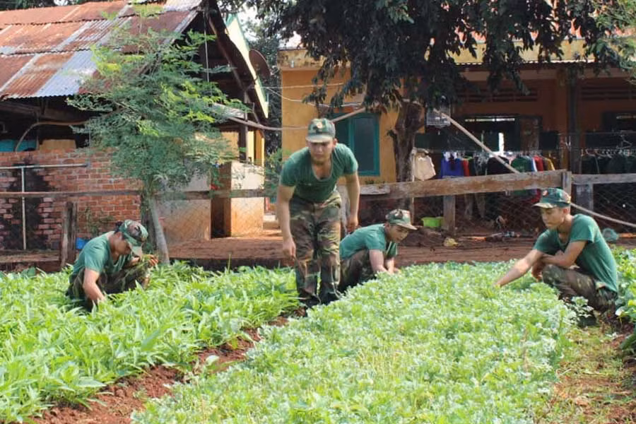  Vườn rau của đơn vị luôn xanh tốt với nhiều chủng loại. Ảnh: Anh Huy