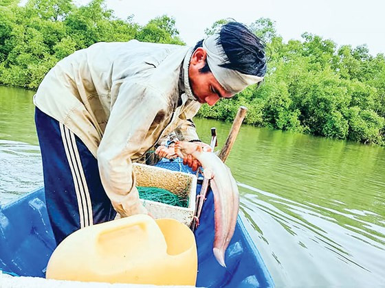 Thành quả giăng câu. 