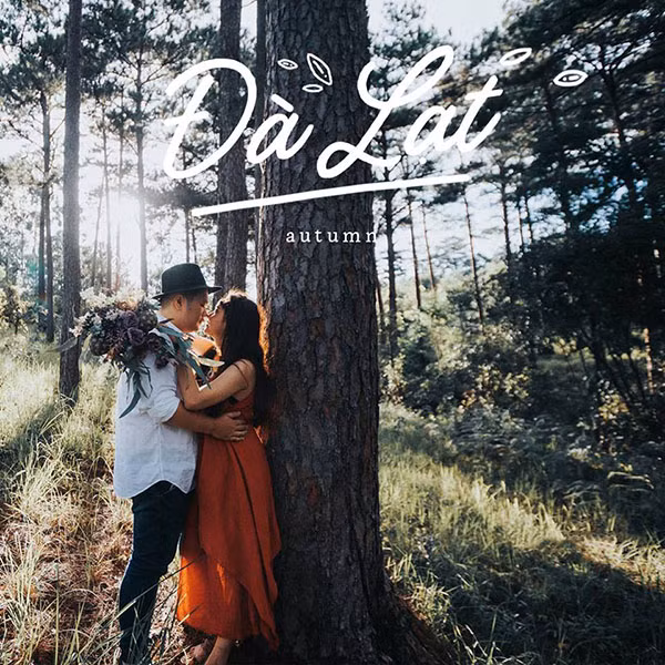  Mùa thu chắc chắn phải lên Đà Lạt rồi.