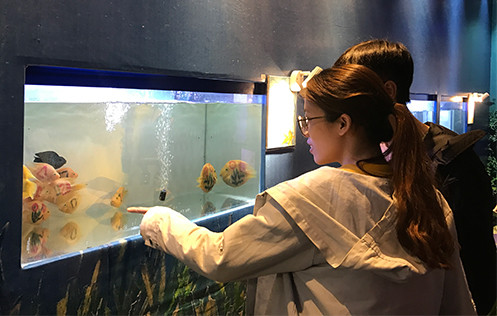 Người xem trầm trồ trước những chú cá xăm mình - Ảnh: Hoàng Anh.