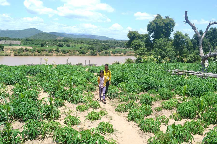 Mảnh vườn của một hộ dân ở buôn Kting (xã Ia Rsai, huyện Krông Pa, Gia Lai) đang bị sông Ba lấn dần. Ảnh: L.H Mảnh vườn của một hộ dân ở buôn Kting (xã Ia Rsai, huyện Krông Pa) đang bị sông Ba lấn dần. Ảnh: L.H