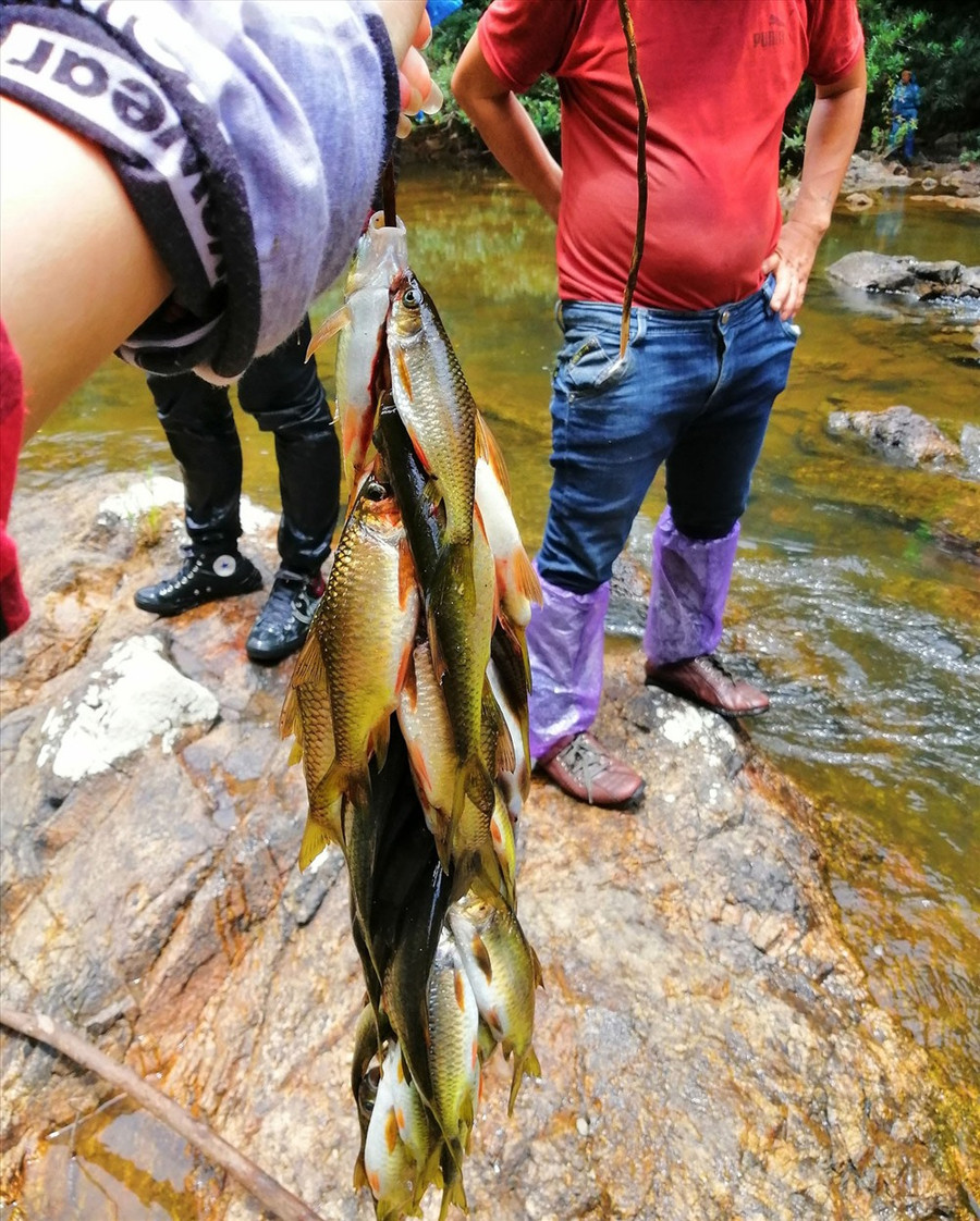 Ảnh: instagram Ảnh: instagram