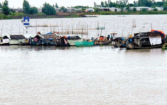 Một xóm câu nho nhỏ ở Khánh Hưng. 