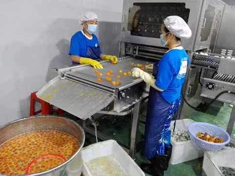 Dây chuyền bóc tách hột vịt muối của Vietfarm NG.NG