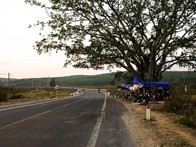 Đoạn đường xảy ra vụ án mạng trong đêm