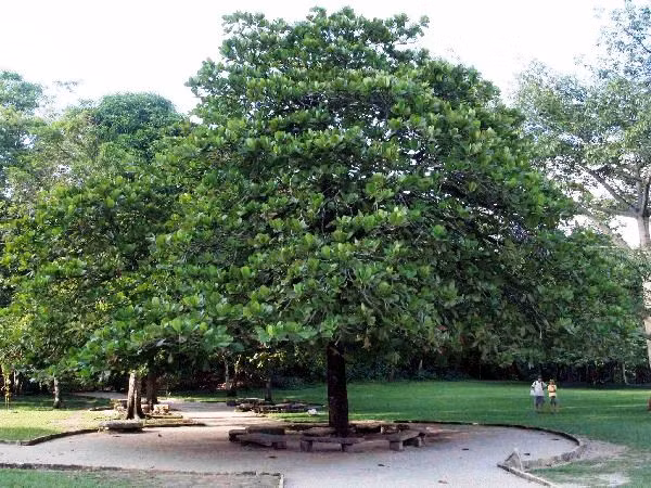 Ảnh minh họa (nguồn internet)