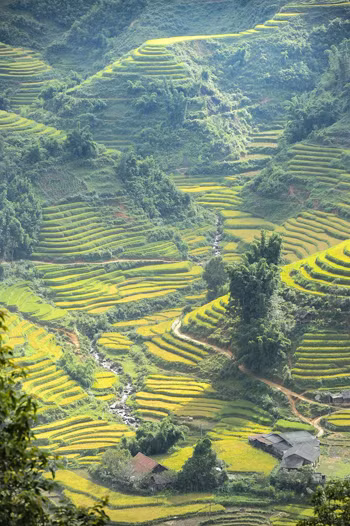 Kỳ vĩ ruộng bậc thang Sa Pa. Ảnh: Vũ Hoàng Kiều My