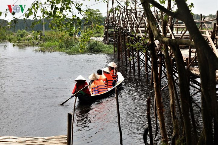  Hoặc đi xuồng chèo tay để trải nghiệm thiên nhiên lý thú và hoang sơ nơi đây.