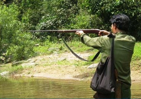 Cảnh 1 người dân dùng súng đi săn, bắn chim - ảnh minh họa