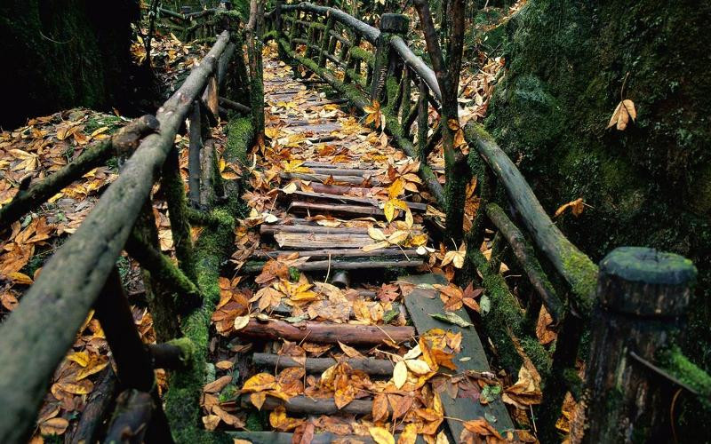 Khu danh thắng thuộc miền bắc Tứ Xuyên, Trung Quốc được mệnh danh là thiên đường hạ giới, đẹp mê hồn vào bất cứ mùa nào trong năm. Tuy mỗi mùa mang nét đặc trưng riêng, nhưng đến thời điểm thu sang, cảnh sắc nơi đây được đánh giá đẹp và lãng mạn nhất. Khi đó, Cửu Trại Câu bừng lên sức sống với muôn sắc của rừng cây chuyển lá.