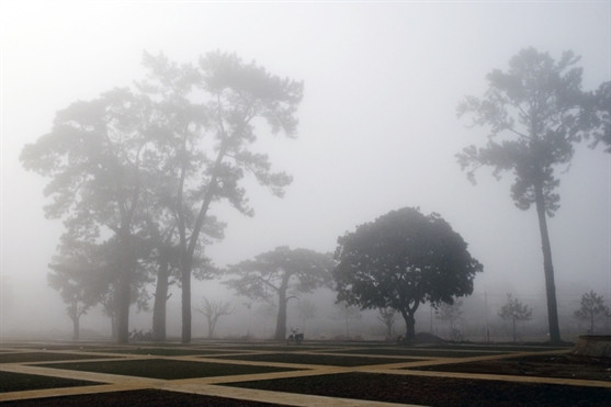 Quảng trường Đại Đoàn Kết trong sương sớm.