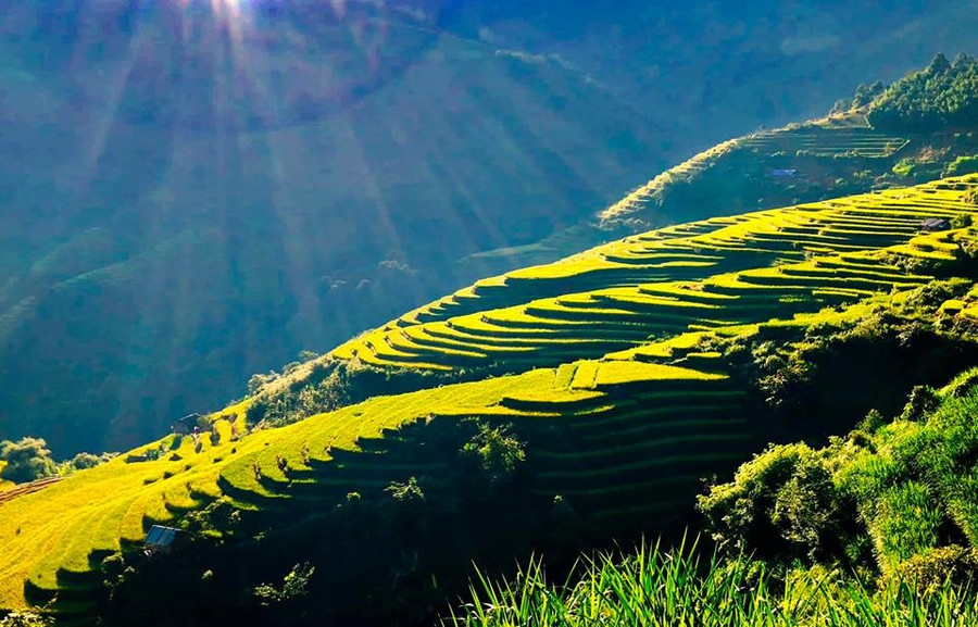  Nắng sớm. Ảnh Hải Nguyên