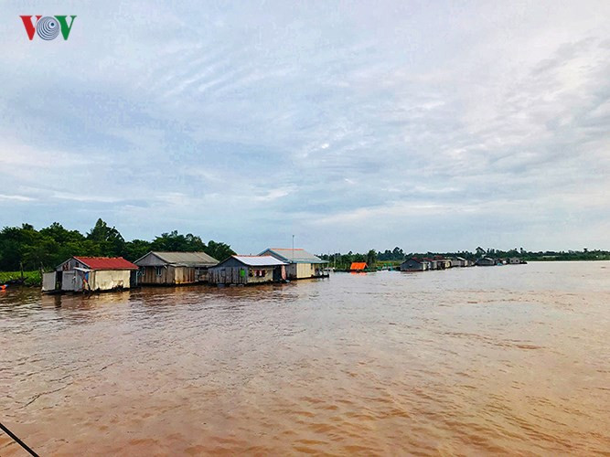Làng bè nổi trên sông Hậu đầy nắng và gió ấy như một chốn an lành giữa cuộc sống bộn bề.  Làng bè nổi trên sông Hậu đầy nắng và gió ấy như một chốn an lành giữa cuộc sống bộn bề.